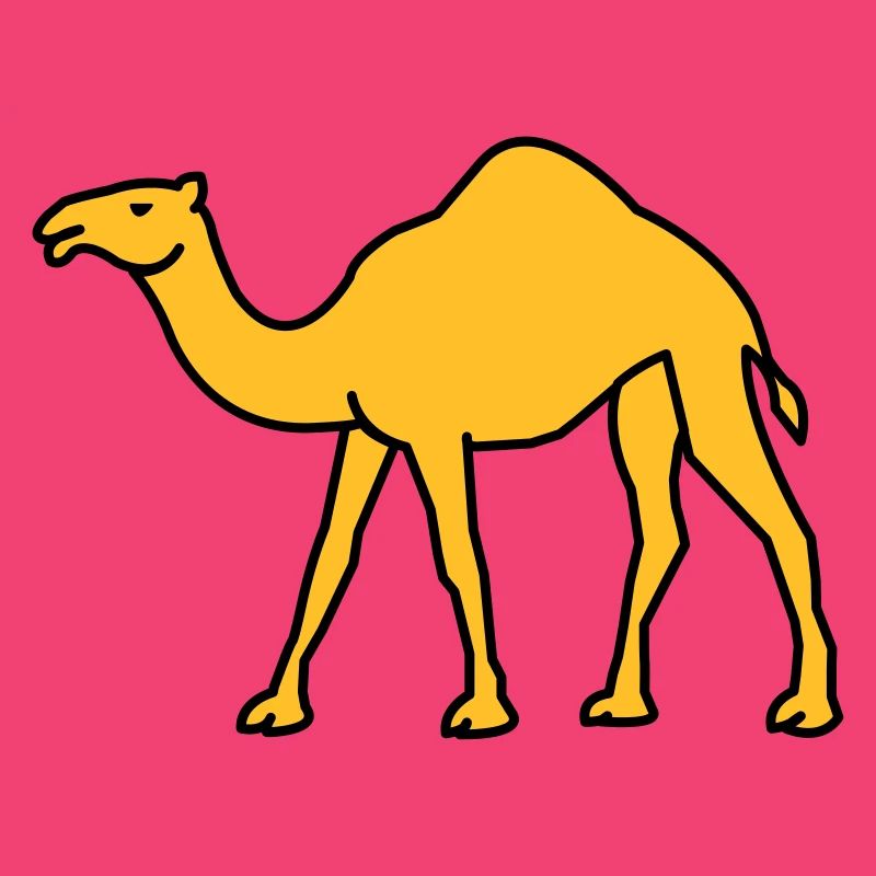 kamel_02