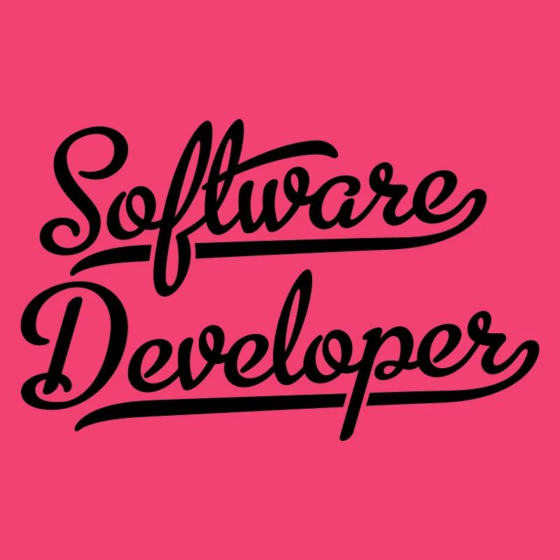 Software Developer