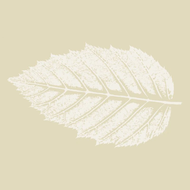 Feuille