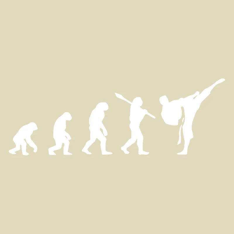 Karate Evolution Development Martial Art