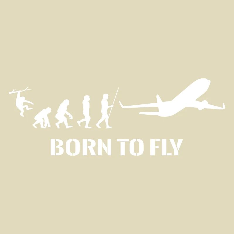 Airplane Evolution Pilot Flying Flying