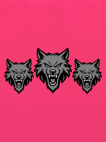 Meute d’équipe de loups