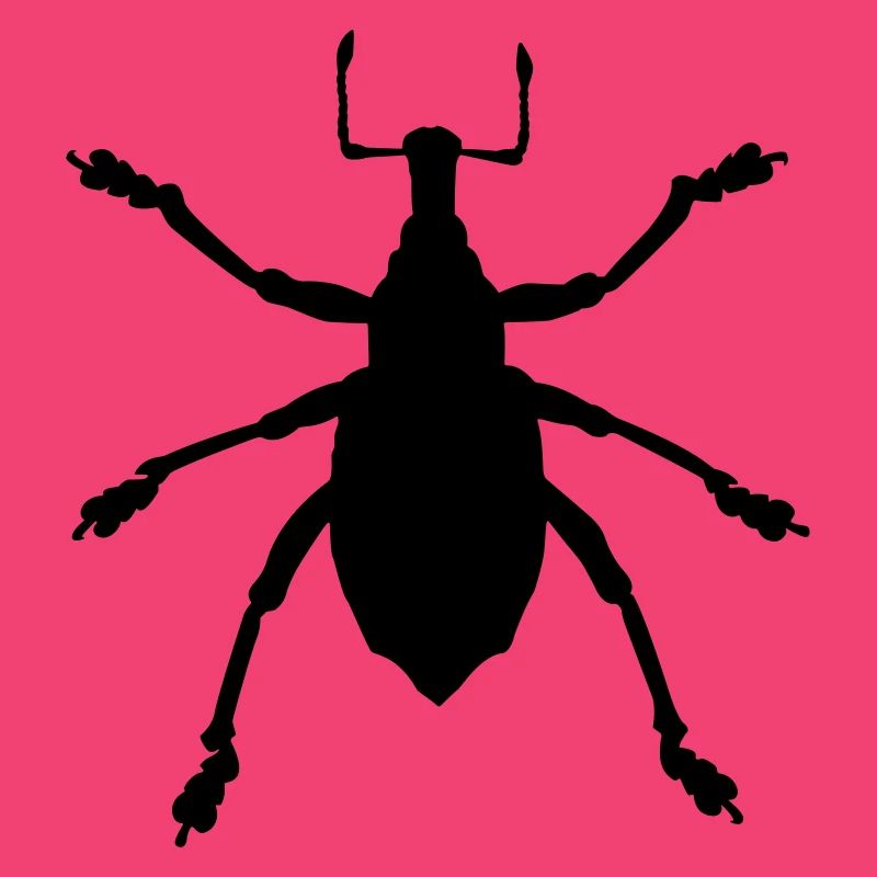 Weevil Eupholus Insect Color Selectable Vector
