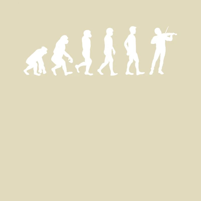 Évolution du violon