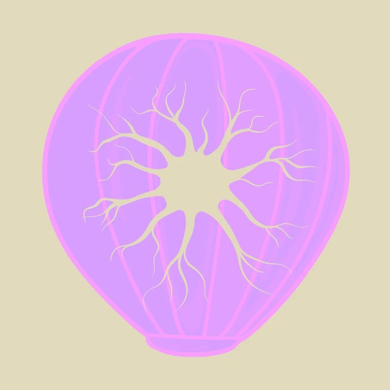 Biologie Evolution Studium