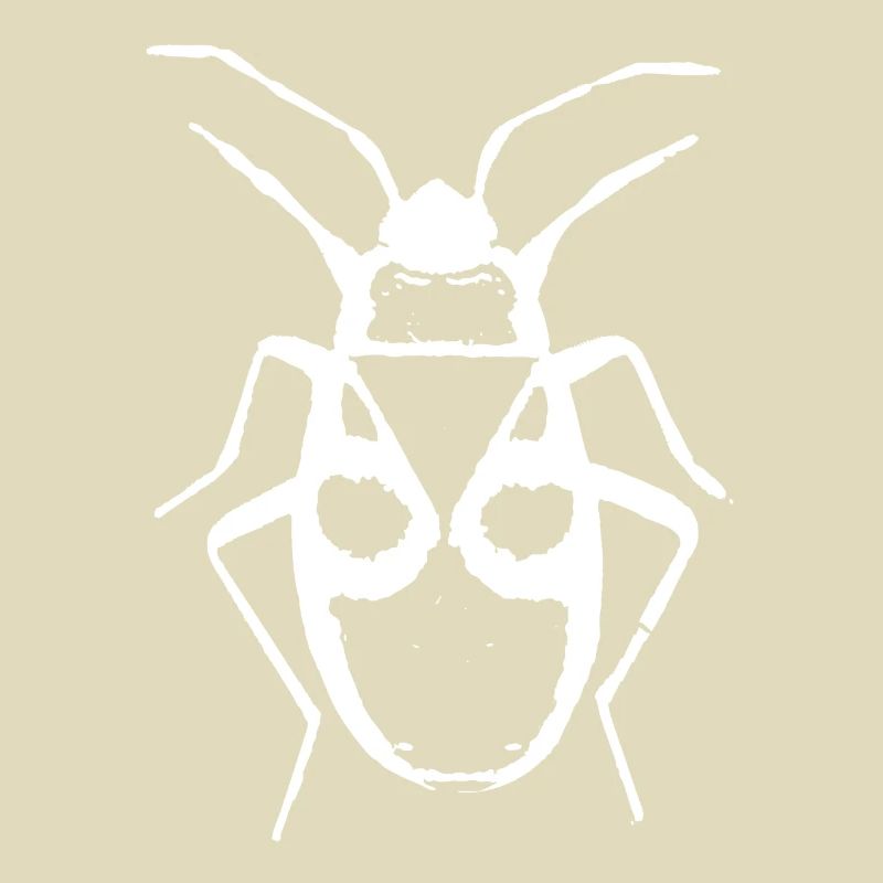 Firebug