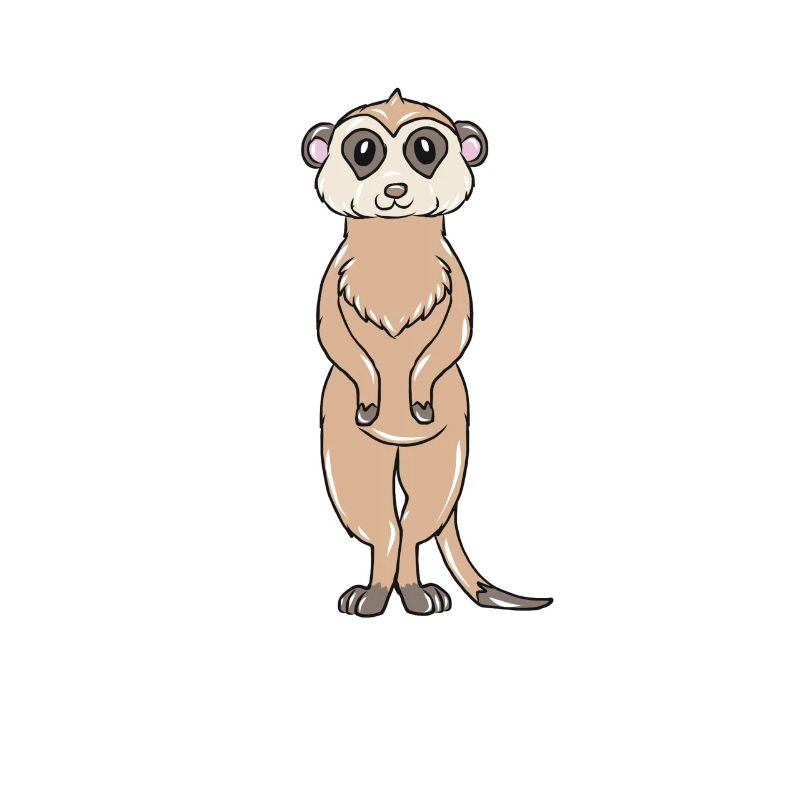 Suricate