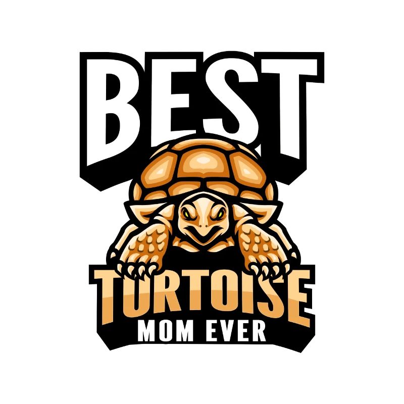 Tortoise