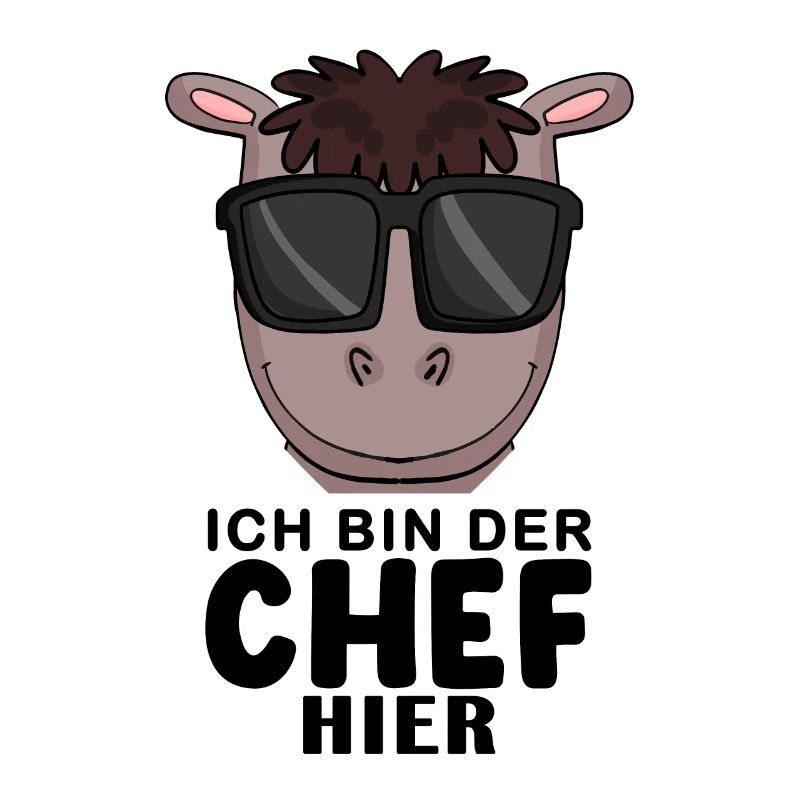 Cool Pferd Chef Spruch
