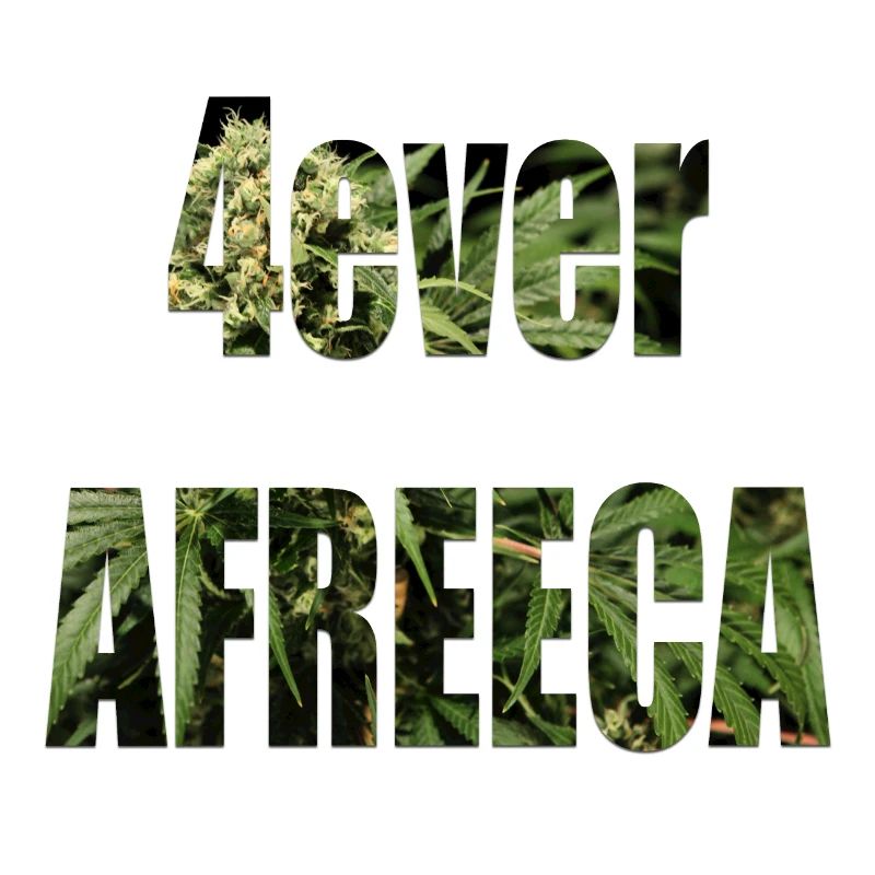 4ever afreeca