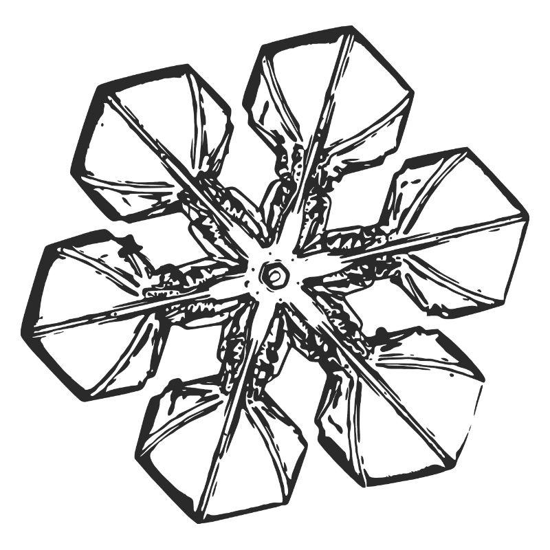 snowflake 2 black