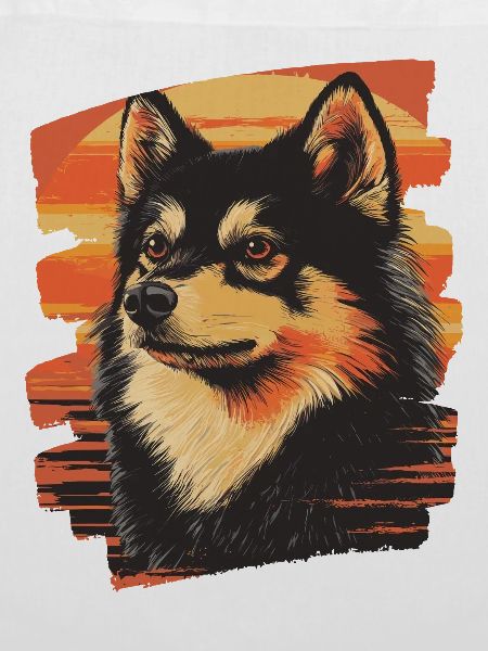 Finnischer Lapphund