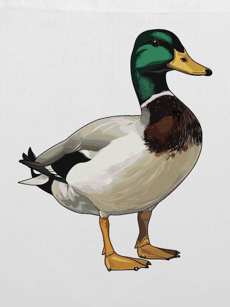 Enten Ente