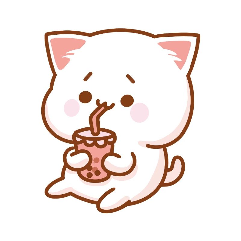 Chat et Shake