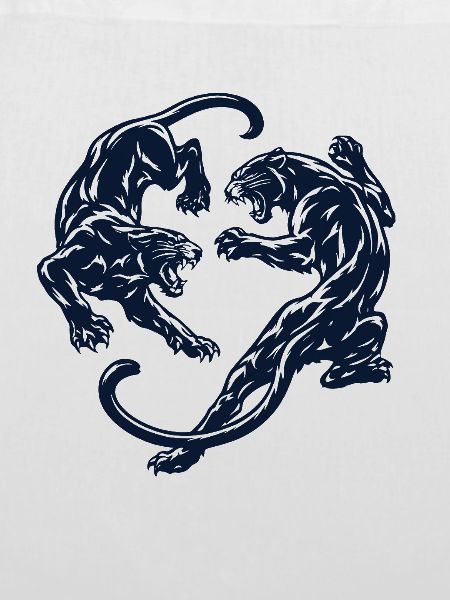 Kreis der Panther – Schattenkampf