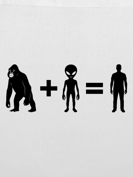 Evolution 2.0 by Falsches Design