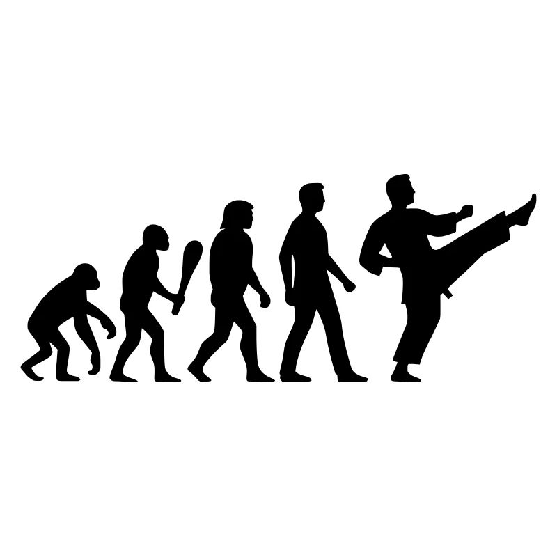 Karaté Évolution