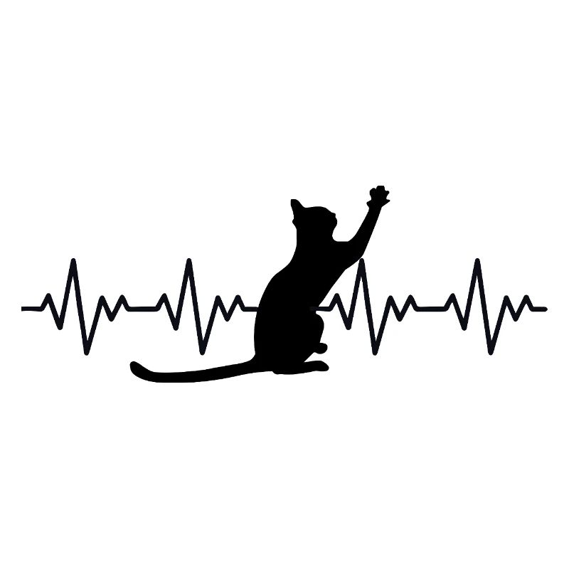 Katze EKG Herzfrequenz Herzschlag