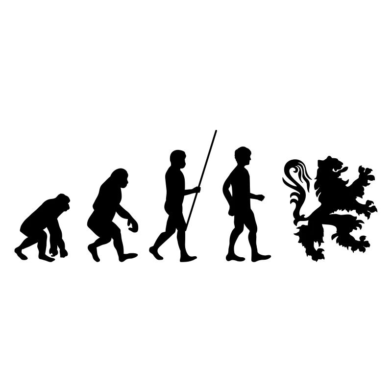 Evolution Flandern