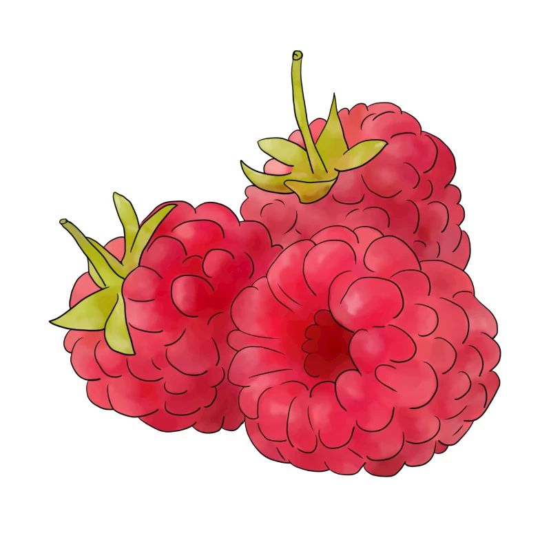 Himbeeren