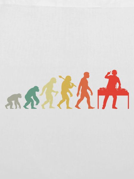 DJ Evolution Deejay Disc-Jockey Mischpult + Venyl