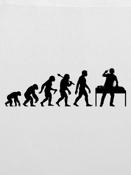 DJ Evolution Deejay Disc-Jockey Mischpult + Venyl