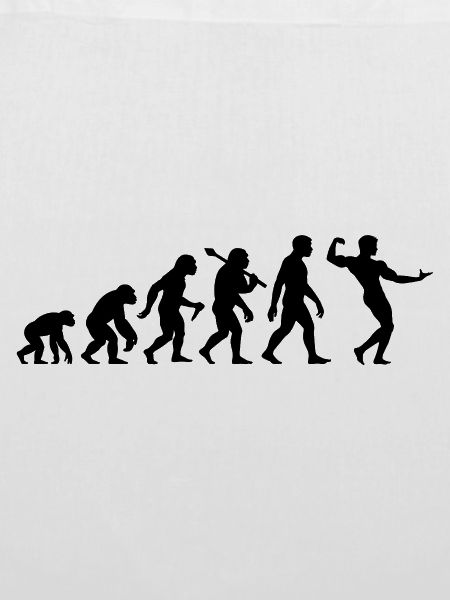 Bodybuilding Evolution Bodybuilder Muskelsport