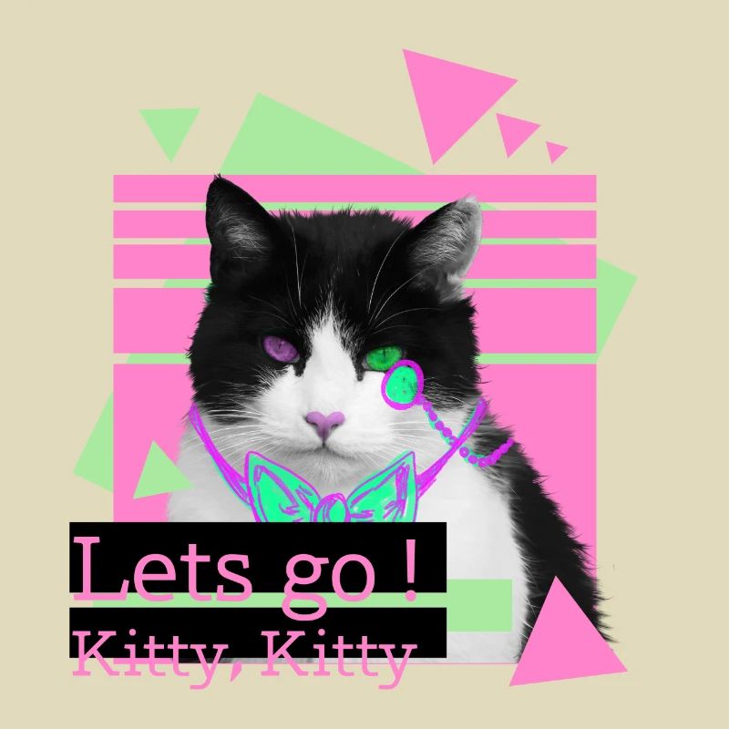 Lets go kitty, kitty