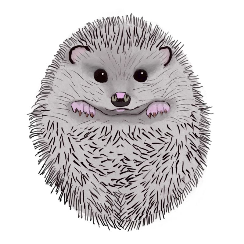 Igel
