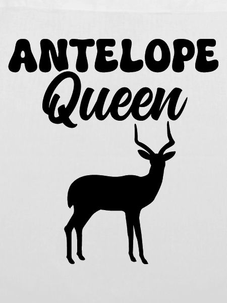 Antilope Safari Wildtiere