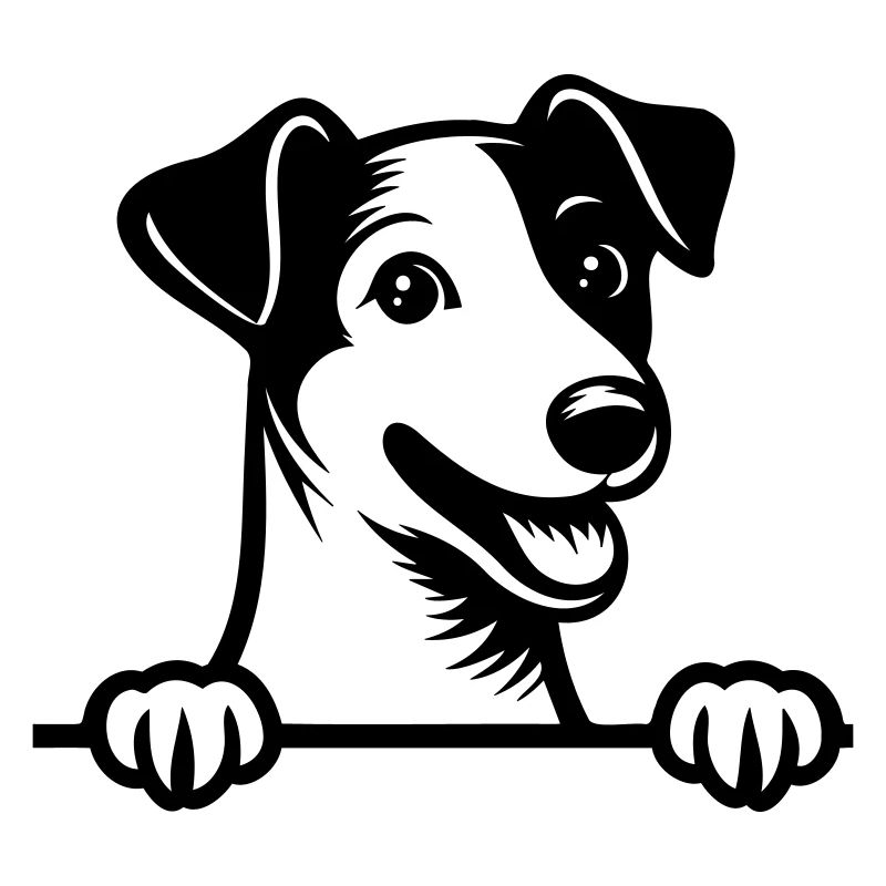 Jack Russel Terrier