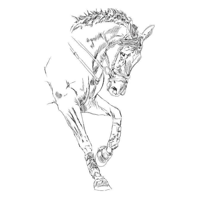 Pferd