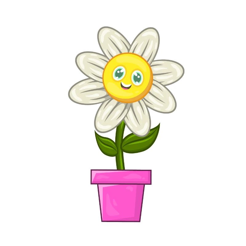Gänseblümchen