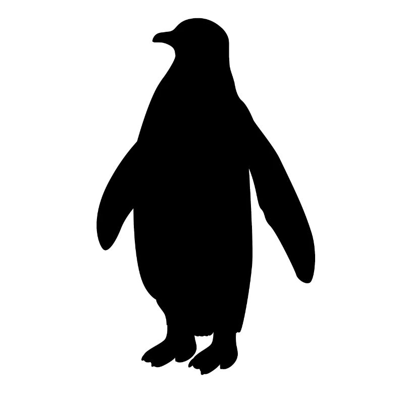 Pinguin Seevogel Meeresvogel Vogel Geschenk