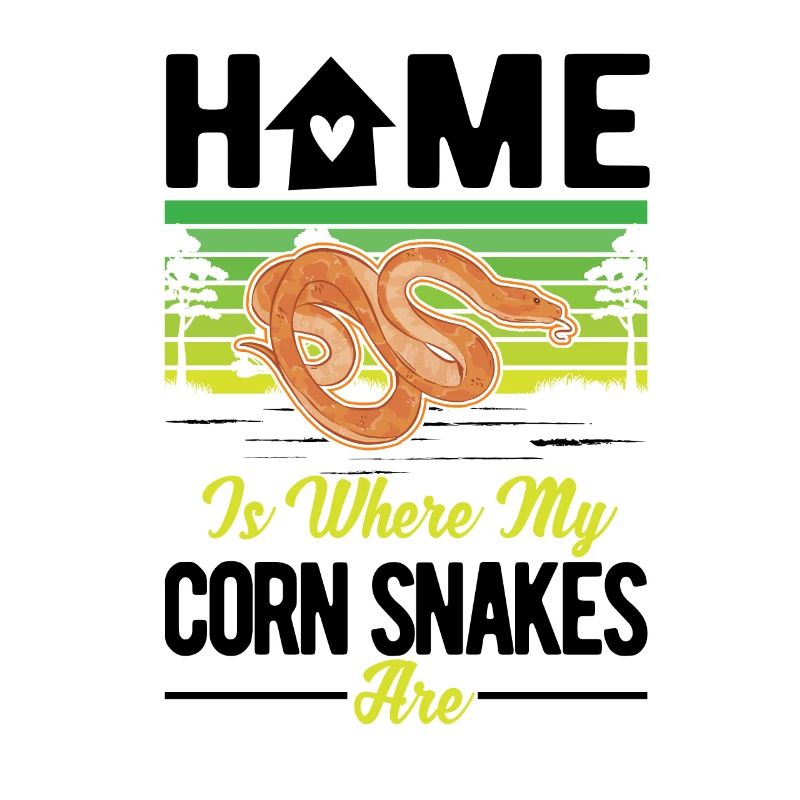 Corn Snake Home Corn Snake