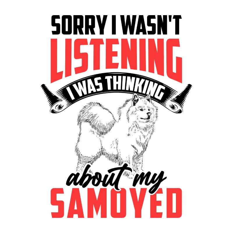 Samoyed was distracted Samoyed spitz