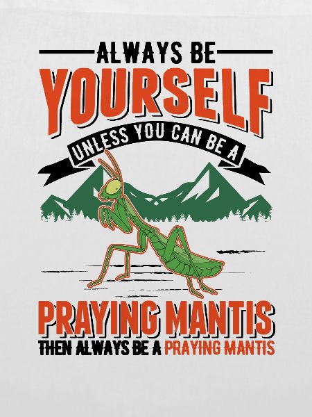 Gottesanbeterin Mantis Fangschrecke