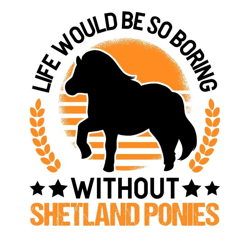 Shetland Pony Geschenk Shetty