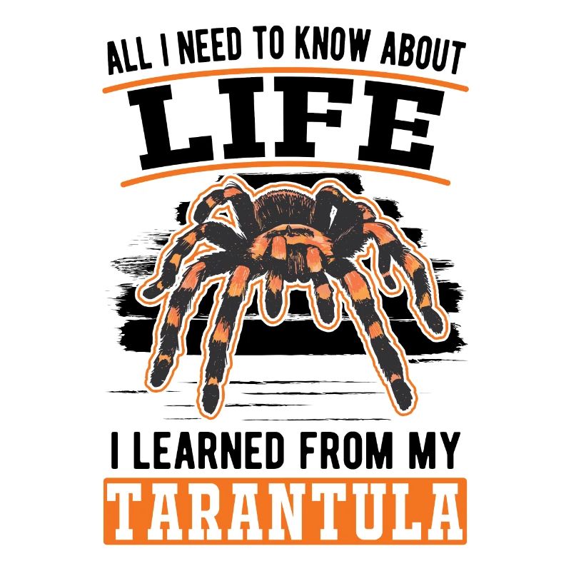 Tarantel Spinne Tarantula