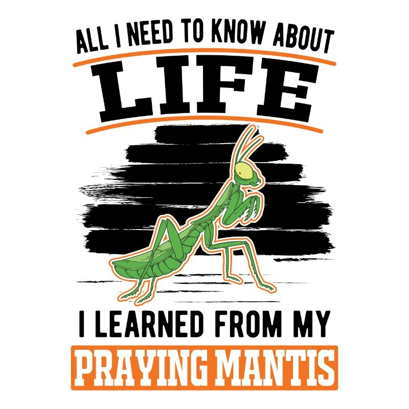 Gottesanbeterin Mantis Fangschrecke