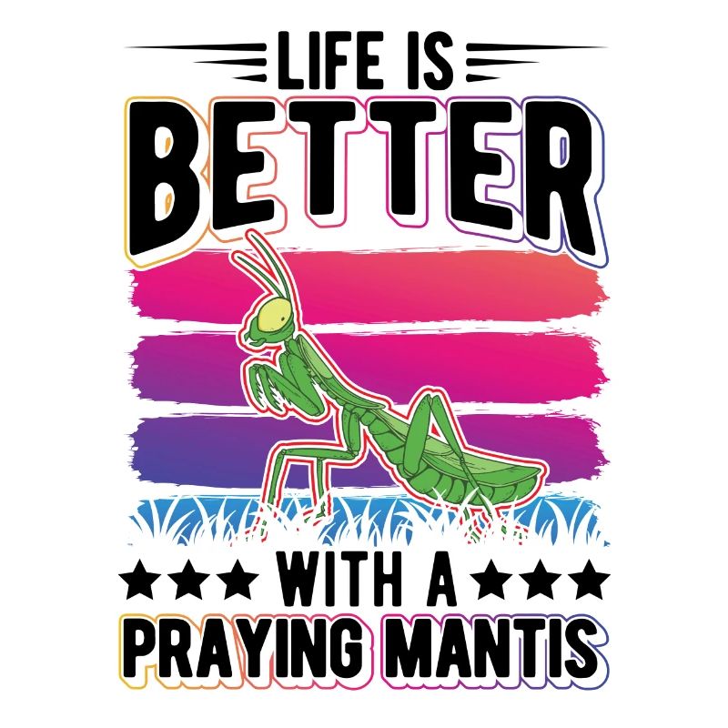 Praying mantis mantis mantis mantis