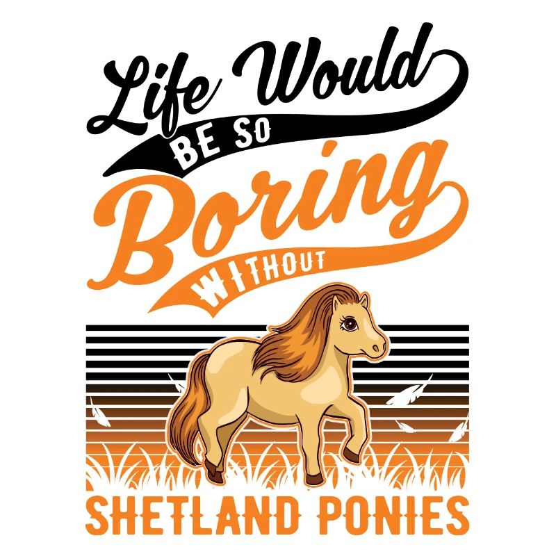 Shetland Pony Geschenk Shetty