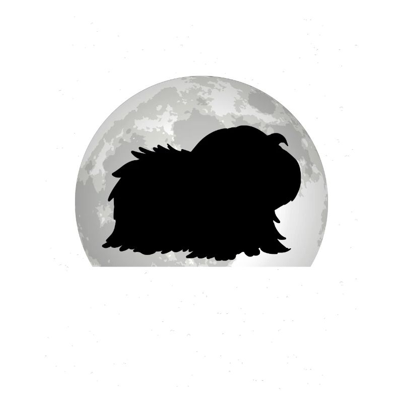 Cochon d’Inde Lune Cochon d’Inde Cochon d’Inde