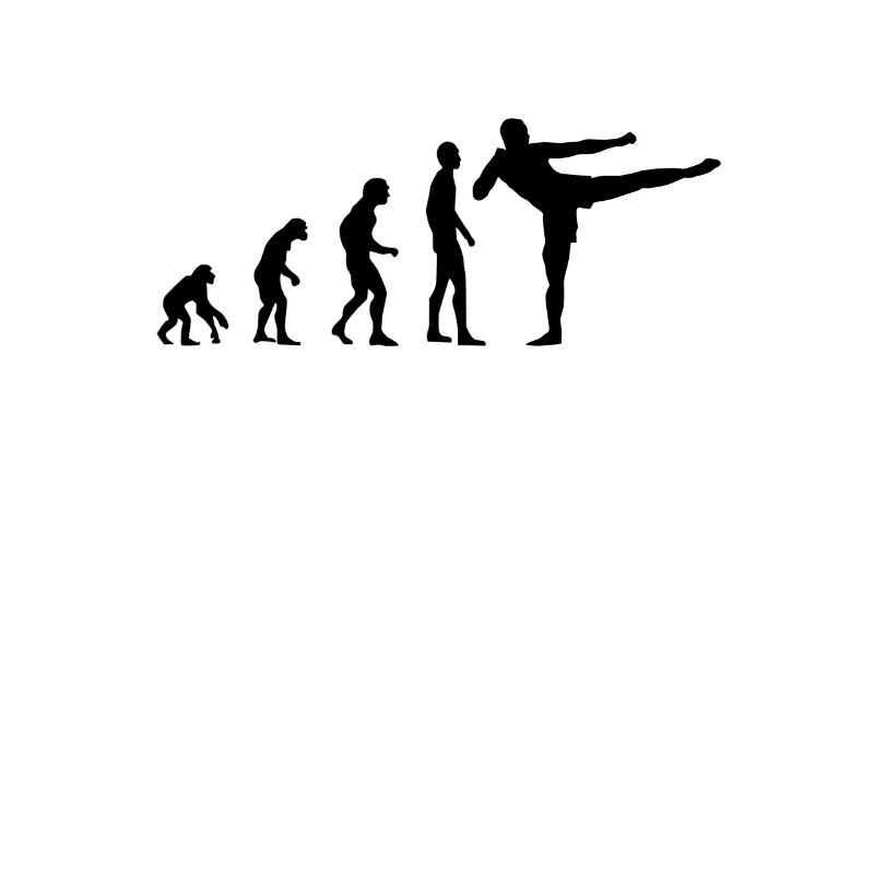Evolution Kickboxen, MMA, Kampfsport