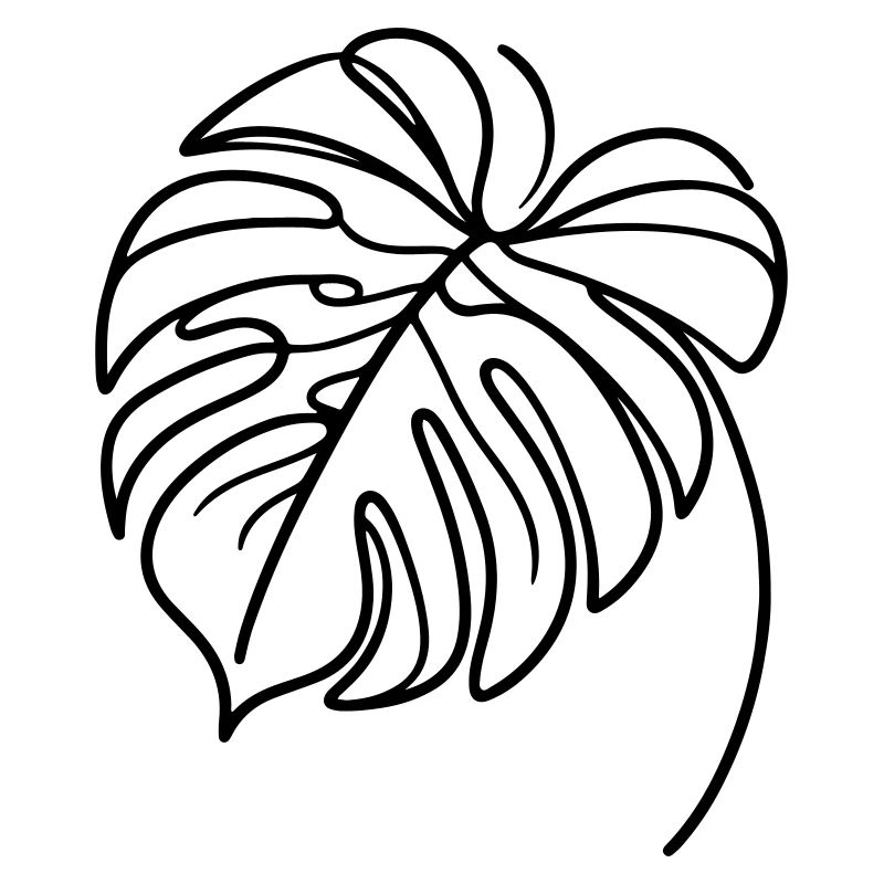 Monstera