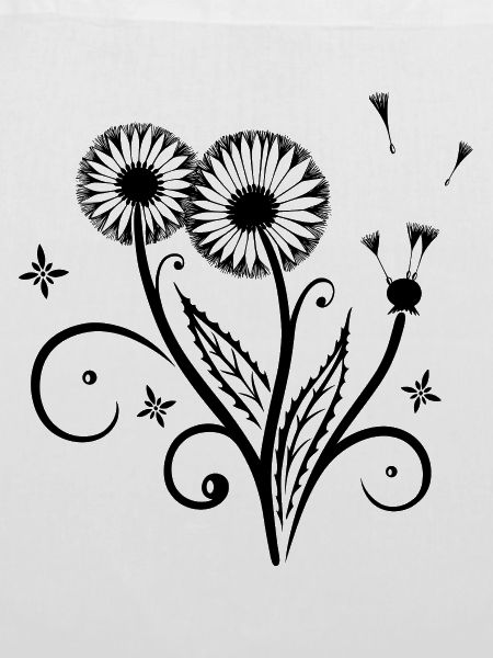Löwenzahn, Pusteblume, dandelion