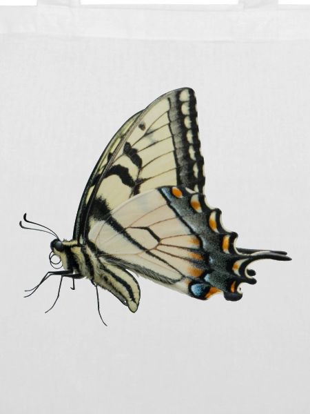 Butterfly Schwalbenschwanz