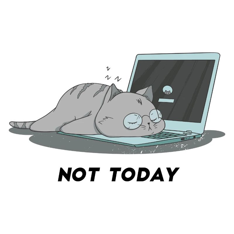 Sleeping cat not today