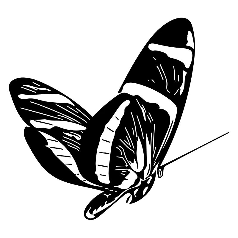 papillon