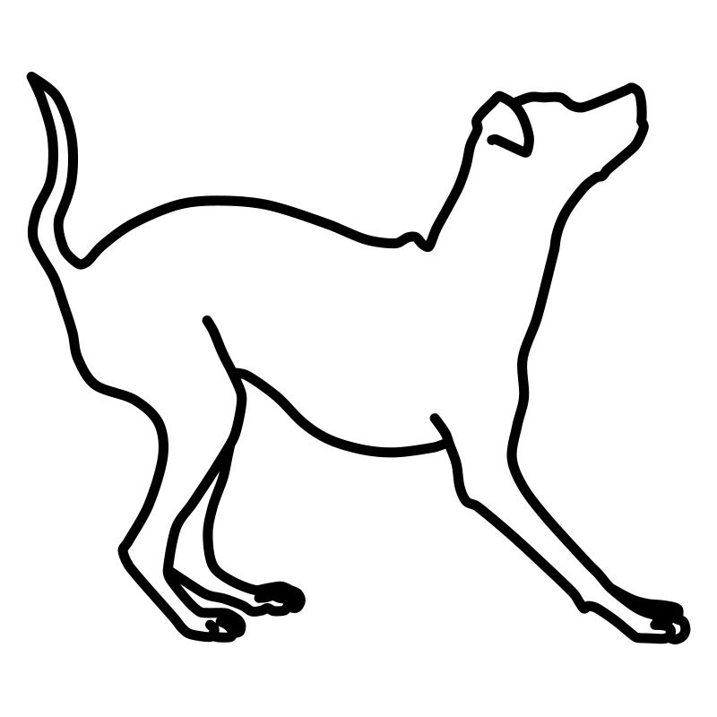 zwergpinscher lineart 1